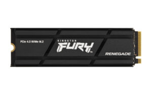 Kingston Technology 2000G RENEGADE PCIe 4.0 NVMe SSD W/ HEATSINK 2 TB PCI Express 4.0 M.2 SSD